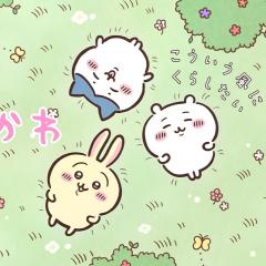 吉伊卡哇 - mCyd4JbK8nNsPuipZZGg4rr65dA.jpg