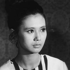 干花 - bYoykZ9a9CpP9AtI0RR6V9vpRWp.jpg