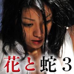 花与蛇3 - rUIICGmh9i1uZ6Kk1SrujrPS1Fe.jpg