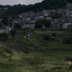 夜以继日 - cOxTAOG970YCAPpRA7dqUrKTOzW.jpg