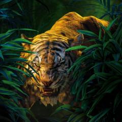 奇幻森林 - wC3r8chAaKc9nvoUwTcHCnT1Xm.jpg