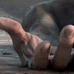 Love, Death & Robots - wkkXSNglIS4P1MZaxVEQDG5blhS.jpg