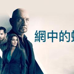 网中蜘蛛 - aQe6pASlgUeZnY0ZLtsKY6fMYvY.jpg