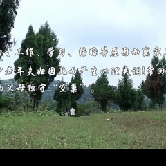 青春之殇2 - d3a81feb17aba5f8.png