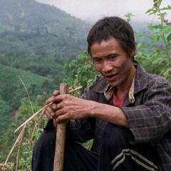 树房子 - rEpbyczlishq8rlWMCxPVVNwgXt.jpg