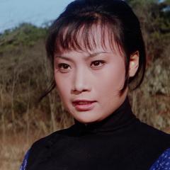 铁掌旋风腿 - 9uk7hruQXf3wbP1Zv1IG1TlGTVz.jpg