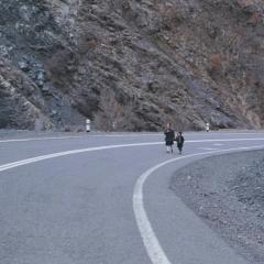 雾中风景 - qkvMxoBBQwSXMvrGpPiTo8VyCPl.jpg