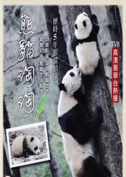 熊猫淘淘