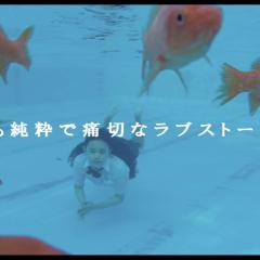 卫生间的圣母像 - 6Qfjs4f1dboMau4oCVrq4pRtMgb.jpg