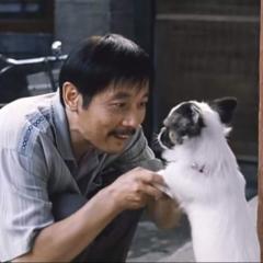 卡拉是条狗 - jFF2DDpsw1S3Xd2URE7MxBrPiSC.jpg