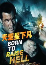 天罡星下凡
