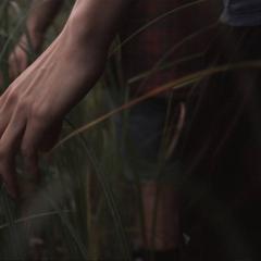 芦苇荡的时光 - ybXMooyLonQlIRTMTrYioqG64t5.jpg
