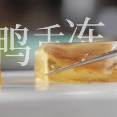 鲜生史 - nvki2yBvBeFBgXxG0Nd8EVCHLFI.jpg