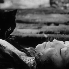黑猫 - qBFfaKAidSYHVzDPk24EkcpvlrD.jpg