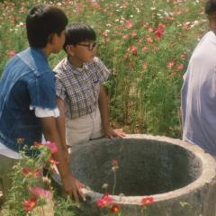 夏日的庭院 - uGbO4p5vEuMFyoxLwcnQZdvfoil.jpg