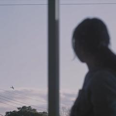 花瓣舞 - 4nw72fKN24Bc6YXiC5OEOO1NzQx.jpg