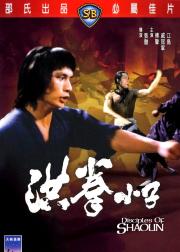 洪拳小子