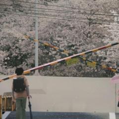 秒速5厘米 - weaC7O3FYci8VxV5AR11sta9Q31.jpg