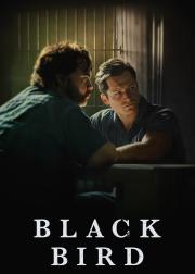 Black Bird