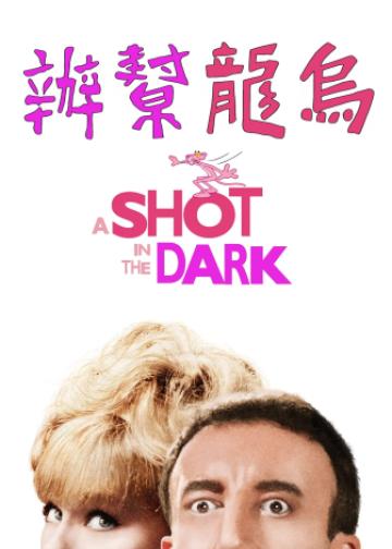 粉红豹系列：黑夜怪枪