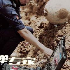 拆弹专家 - u8GxzsoDJW4FKKFUhFSGf3MjbTj.jpg