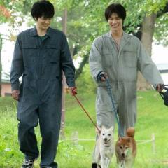 犬部！ - m7xTKYEfMa5a9YJ9SQciwk8kCXP.jpg