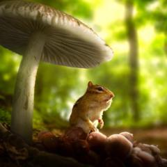 Tiny World - 9ymb4gRtC8PFHHWtF8BsENKoym9.jpg
