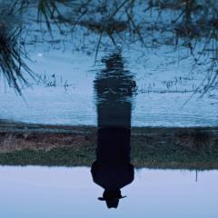 破碎太阳之心 - uqs1fawZDmcwkXCWGDTKPGrmwa4.jpg