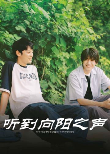 听到向阳之声