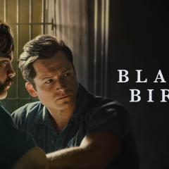 Black Bird - 87S8t5RMIbCcquFyOzTN2dln3sV.jpg