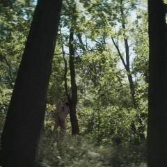 波兰爱经 - 3AFILDvW8X4zG8q3xSP0NR7Jt9G.jpg