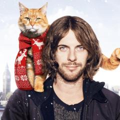 流浪猫鲍勃 - 3YDuN1mhQpYtCym4QatX0gkHahL.jpg