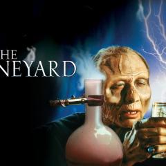 葡萄庄园 - wtGURSTAFdee1SfunZdjlWsweqv.jpg