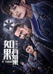 如果有如果