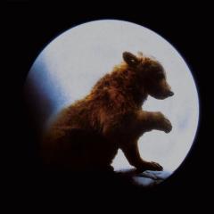 熊的故事 - 4rcwgVXCRaUxlP42aOhajltiseh.jpg