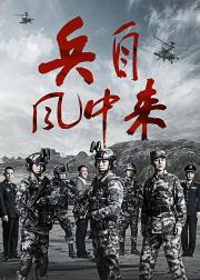 兵自风中来