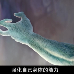 爱上女主播 - d7bef4cc752696c8.png
