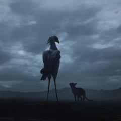 猫猫的奇幻漂流 - flShWk2HFy4FfjJEMRnIbDQFP7W.jpg