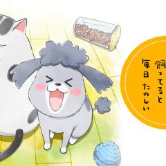 养狗与猫每天都很开心 - opNBb5dyDp6iZCDSiDbdk6mF453.jpg