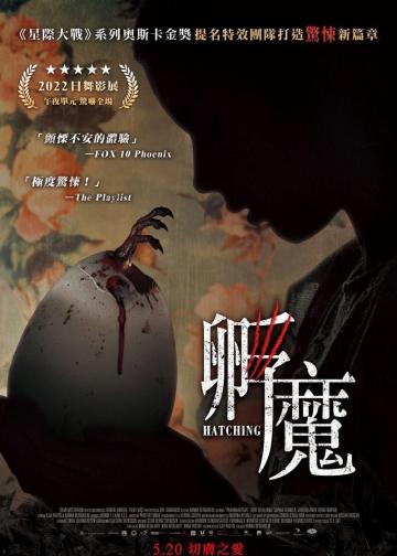 孵化