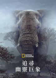 追寻幽灵大象