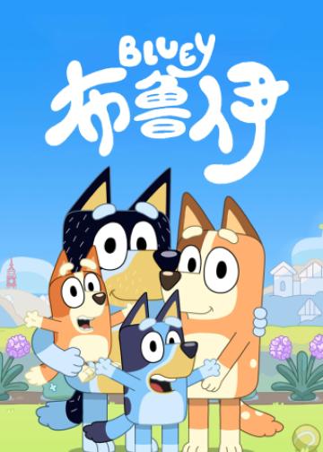 布鲁伊