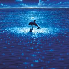 碧海蓝天 - 2oum8FkgH1AiDWhmhEw8nbtoHdJ.jpg