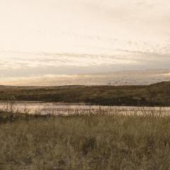 米克的近路 - oa6G4BR6cssIu3Oqga7ZGstsyk5.jpg