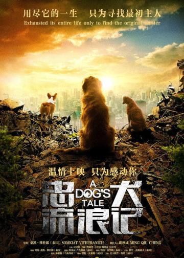 忠犬流浪记