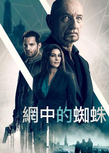 网中蜘蛛