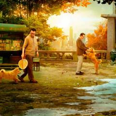 忠犬八公 - 2LbMOC9oDCWC9OOXoz5GZXUsJh8.jpg