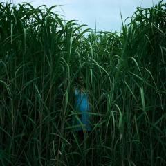 高草丛中 - bNk0t0PIuebq0fsa0qg2erkqQ1i.jpg