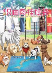 织田肉桂信长