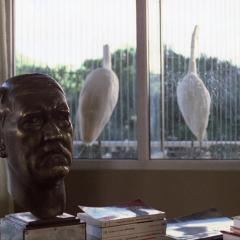 巴西来的男孩 - oF7qE1xhiCAQJwIiwT6zbvLGNbf.jpg